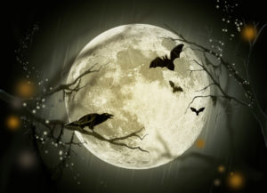 fall full moon bat crow