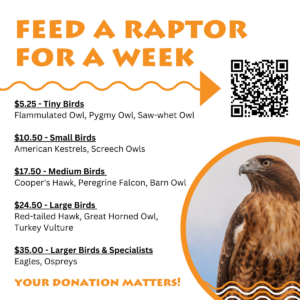 Feed a Raptor for a Week
